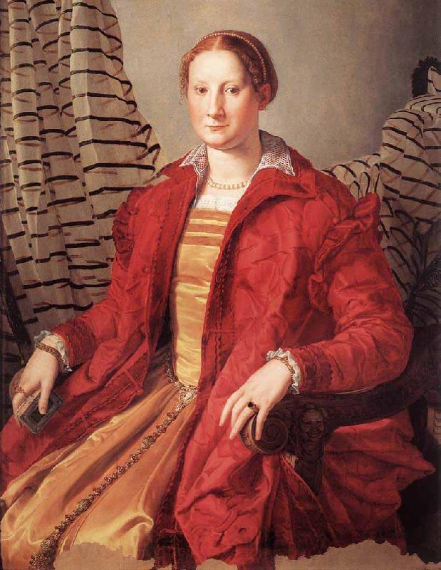 BRONZINO, Agnolo Portrait of a Lady dfg France oil painting art